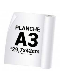 1 Planche Format A3